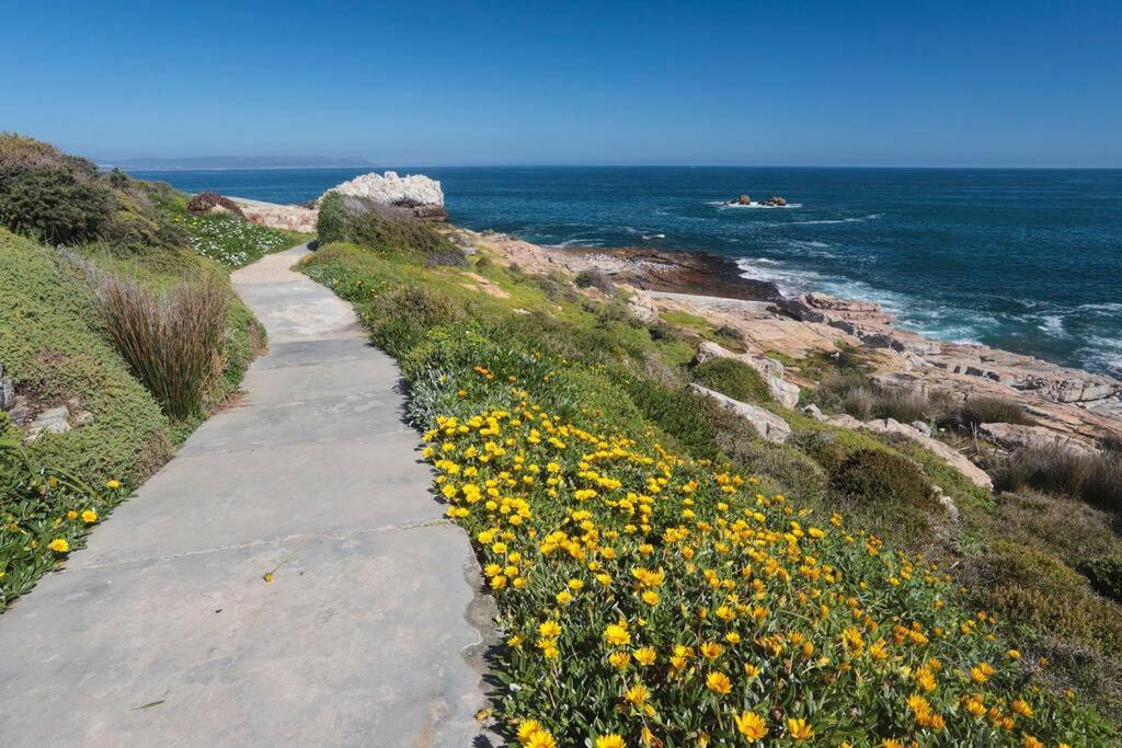 Mountain And Sea Cottage Hermanus Exterior foto